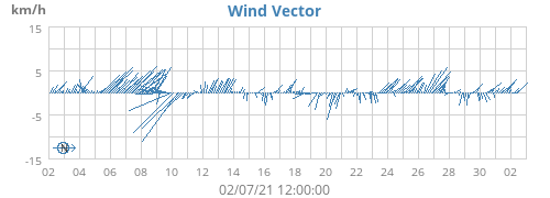 Wind Vector